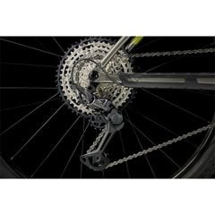 Procaliber 8 [2024]