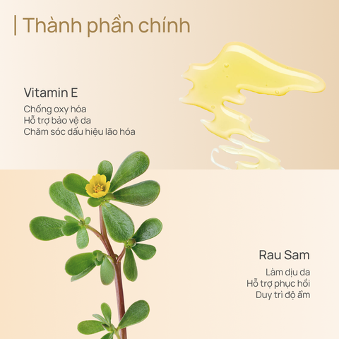 Kem Dưỡng Tăng Sinh Collagen, Phục Hồi Tổn Thương và Chống Lão Hoá Extra Collagen Cream 55g