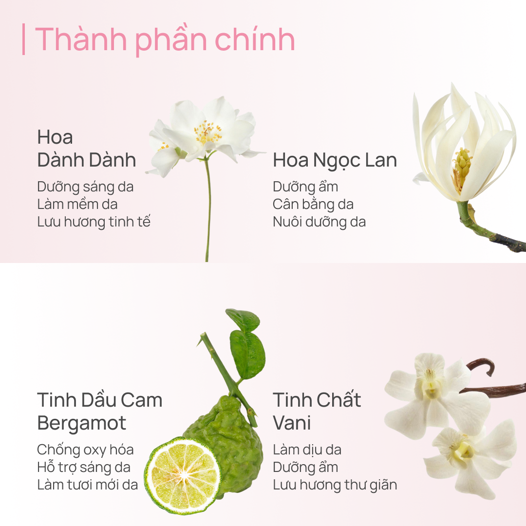 Sữa Dưỡng Thể Hỗ Trợ Dưỡng Trắng 600g CHANDO Himalaya Hàng Chính Hãng