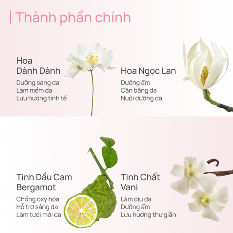 Sữa Dưỡng Thể Hỗ Trợ Dưỡng Trắng 600g CHANDO Himalaya Hàng Chính Hãng