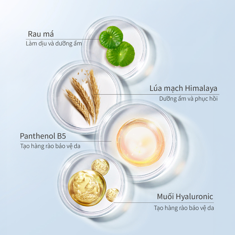 Dung dịch  Hỗ Trợ Cân bằng Phục hồi và Làm dịu da nhạy cảm CHANDO Himalaya 150ml