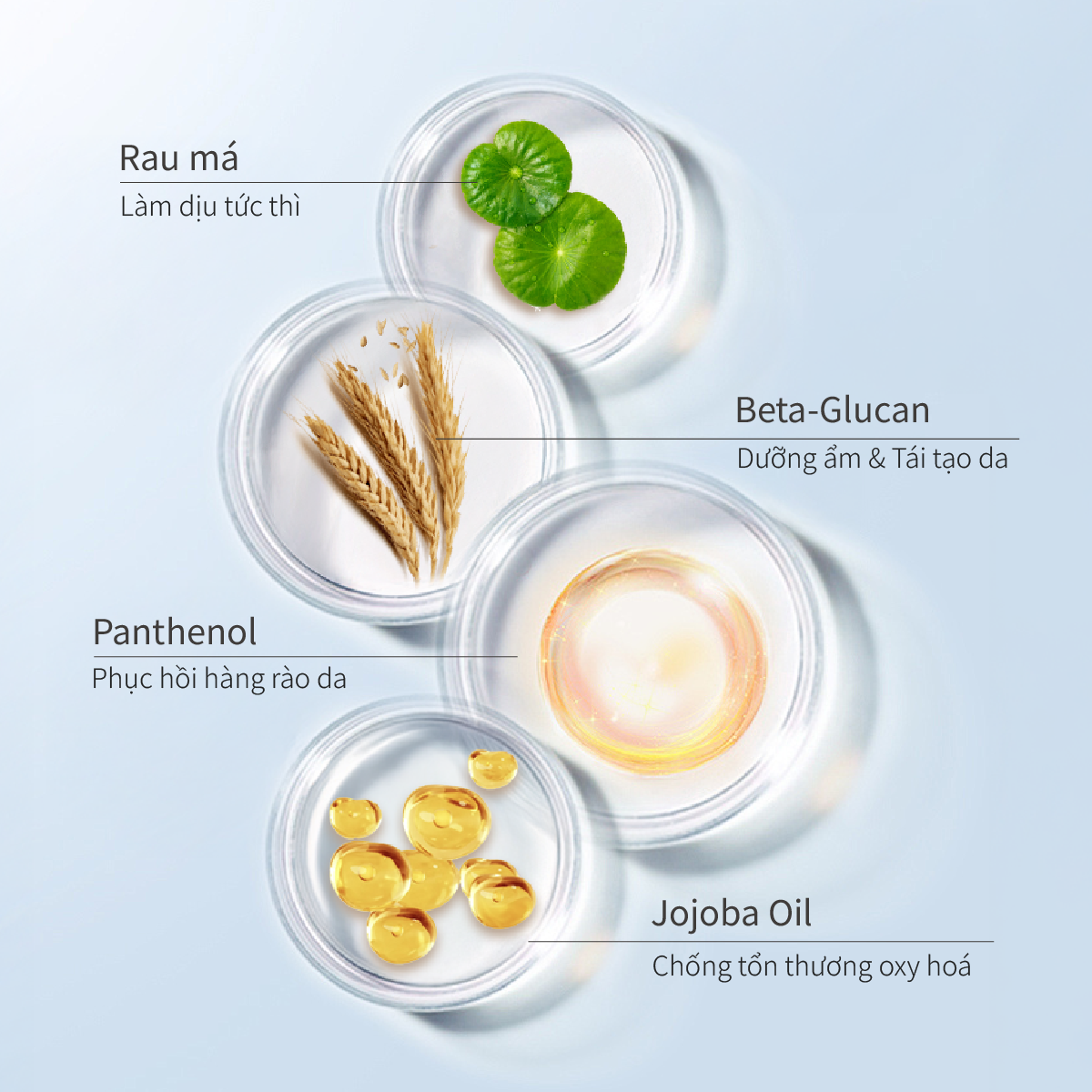 Kem Dưỡng Ẩm hỗ trợ Làm Dịu Và Dưỡng Ẩm Da Nhạy Cảm CHANDO Himalaya 55g Hàng Chính Hãng