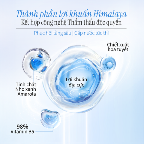 Mặt Nạ Hỗ Trợ Phục Hồi và Cân Bằng Da Chứa Lợi Khuẩn (28ml x 5pcs) CHANDO Himalaya Chính Hãng
