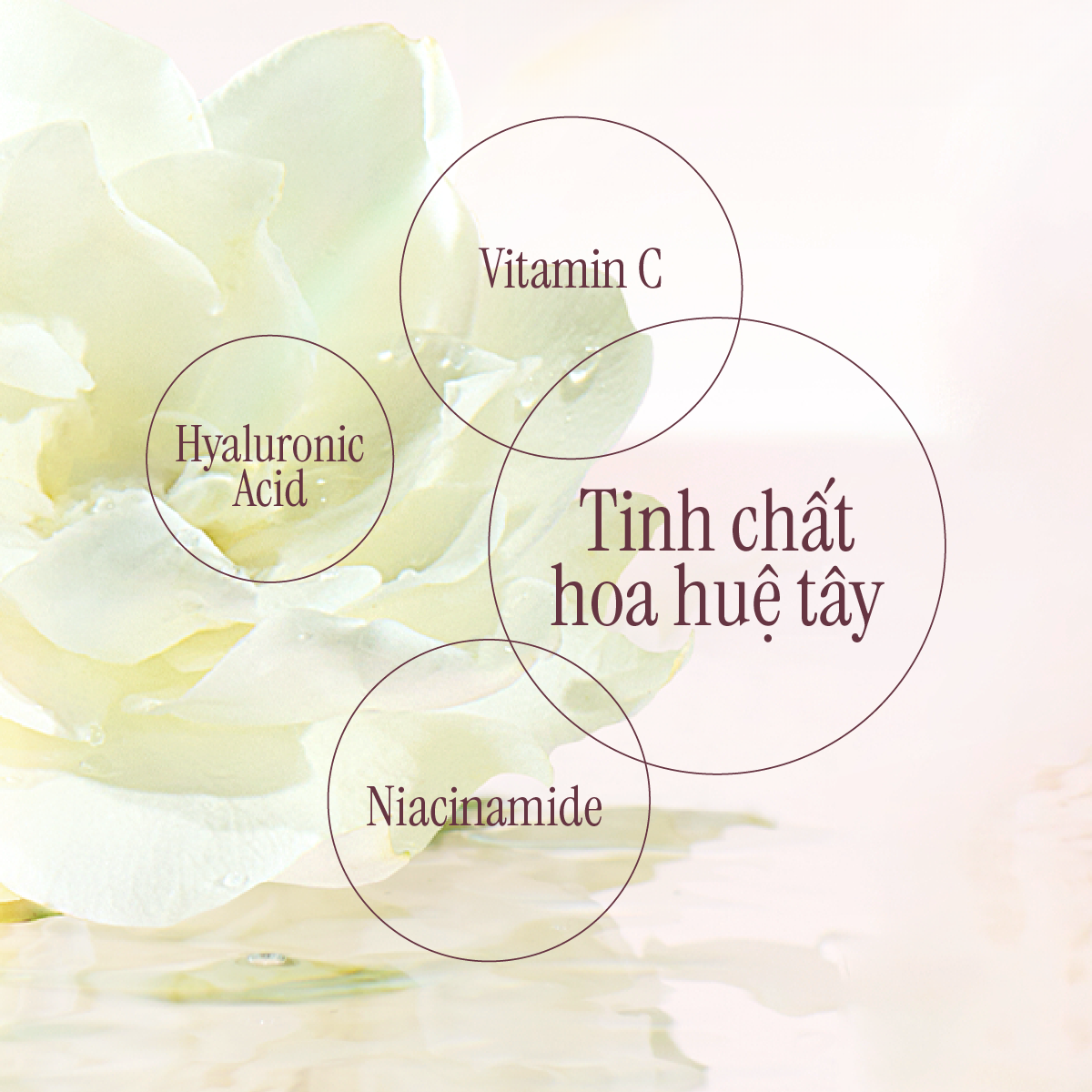 Sữa Tắm Hỗ Trợ Dưỡng Sáng Da Hương Hoa Lily 600g Hàng Chính Hãng
