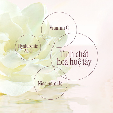 Sữa Tắm Hỗ Trợ Dưỡng Sáng Da Hương Hoa Lily 600g Hàng Chính Hãng