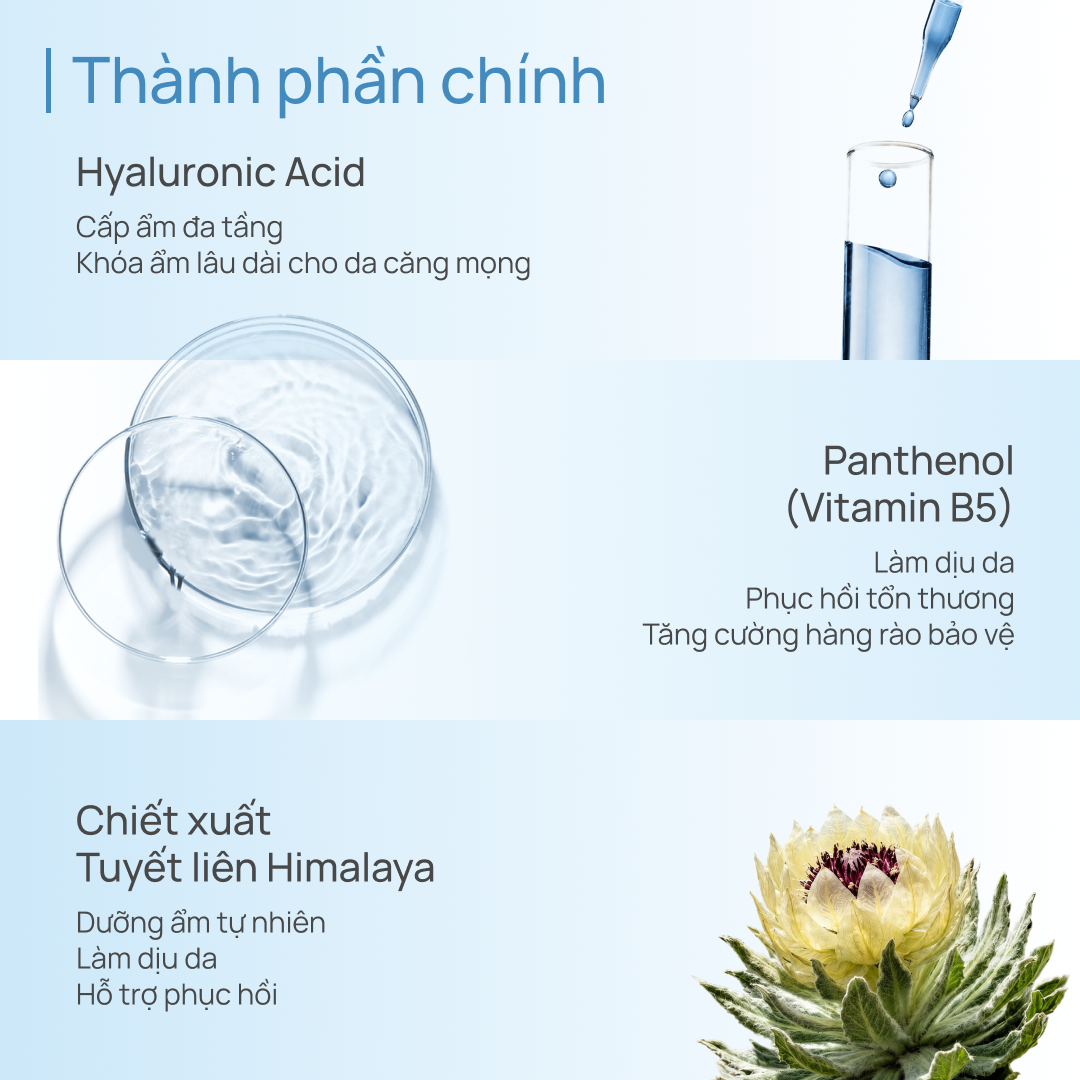 Combo 03 Mặt Nạ Thảo Dược Dưỡng Ẩm, Sáng Da, Thu Nhỏ Lỗ Chân Lông CHANDO (15 MIẾNG)
