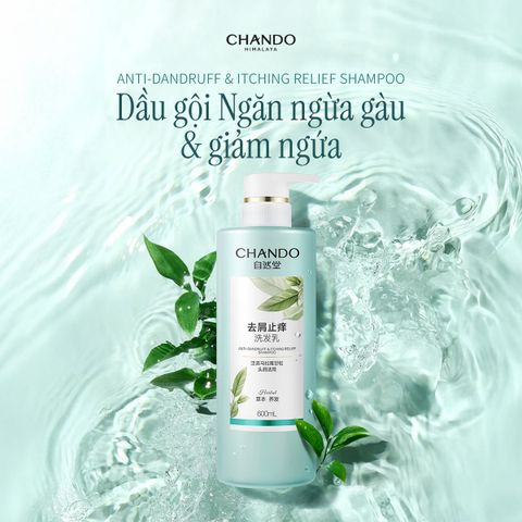Dầu Gội Làm Sạch Và Cân Bằng Dầu Cho Da Đầu Gàu CHANDO Himalaya 600g Hàng Chính Hãng