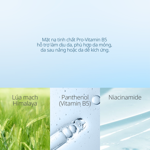 Hộp Mặt Nạ Tinh Chất Hỗ Trợ Dưỡng Sáng & Làm Dịu Da CHANDO Himalaya