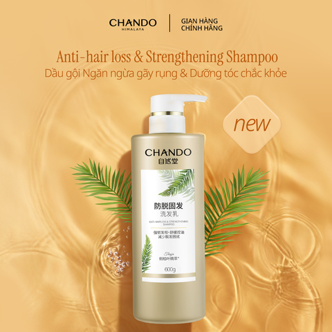 Dầu gội thảo mộc hỗ trợ ngừa rụng tóc 600g Chando Himalaya