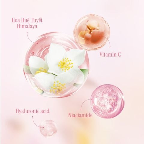 Sữa Dưỡng Thể Hỗ Trợ Dưỡng Trắng 600g CHANDO Himalaya Hàng Chính Hãng