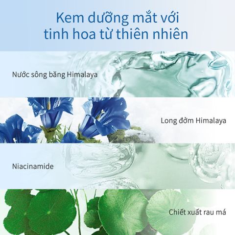 Kem Dưỡng Mắt Hỗ Trợ Cải Thiện Vùng Mắt Thâm Quầng CHANDO Himalaya 15g Chứa Niacinamide Hàng Chính Hãng