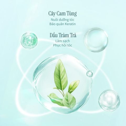 Dầu Gội Làm Sạch Và Cân Bằng Dầu Cho Da Đầu Gàu CHANDO Himalaya 600g Hàng Chính Hãng