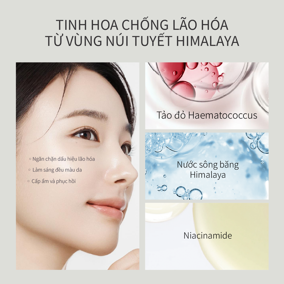 Bộ 4 Sản phẩm Time Frozen  Hỗ Trợ Phục Hồi Da Lão Hoá và Hỗ Trợ Cải Thiện 5 Loại Nếp Nhăn CHANDO Himalaya