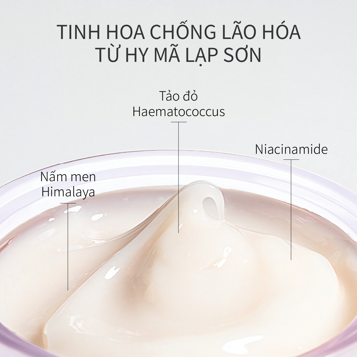 Kem Dưỡng Time Frozen Chăm Sóc Làn Da Thiếu Săn Chắc CHANDO Himalaya 50g