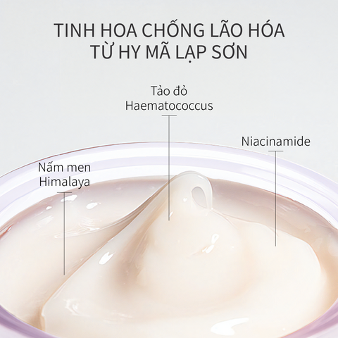Kem Dưỡng Time Frozen Chăm Sóc Làn Da Thiếu Săn Chắc CHANDO Himalaya 50g