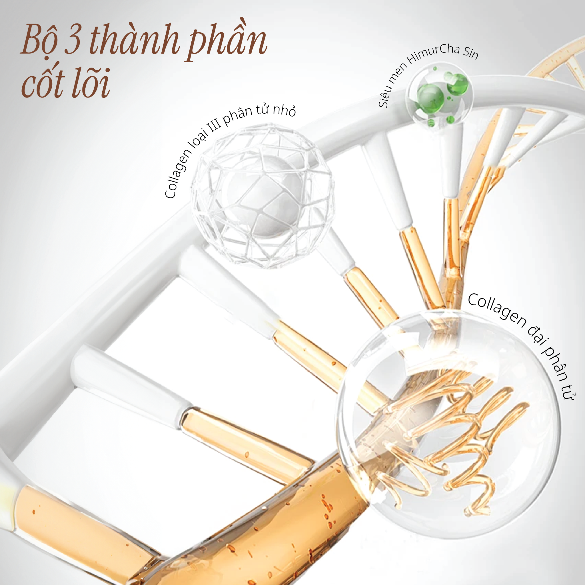 Sữa Dưỡng Bổ Sung Collagen Hỗ Trợ Cải Thiện Dấu Hiệu Lão Hoá 110ml CHANDO Himalaya Hàng Chính Hãng