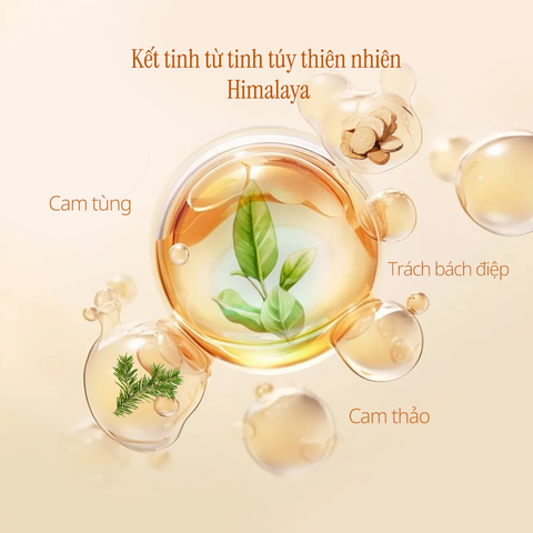 Dầu gội thảo mộc hỗ trợ ngừa rụng tóc 600g Chando Himalaya