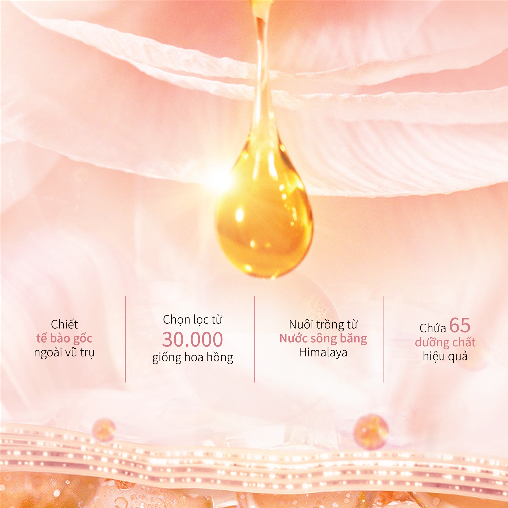 Tinh Chất Pink Dimond hỗ trợ cải thiện lão hoá do trọng  lực CHANDO Himalaya 45ml Hàng Chính Hãng