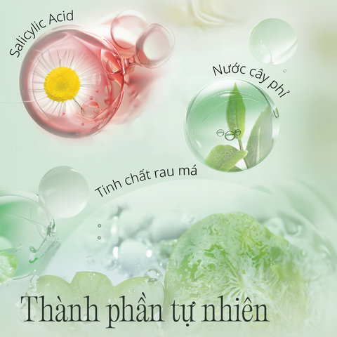 Tinh Chất Hỗ Trợ Kiểm Soát Dầu và Giảm Mụn Salicylic Acid CHANDO Himalaya 40ml Hàng Chính Hãng