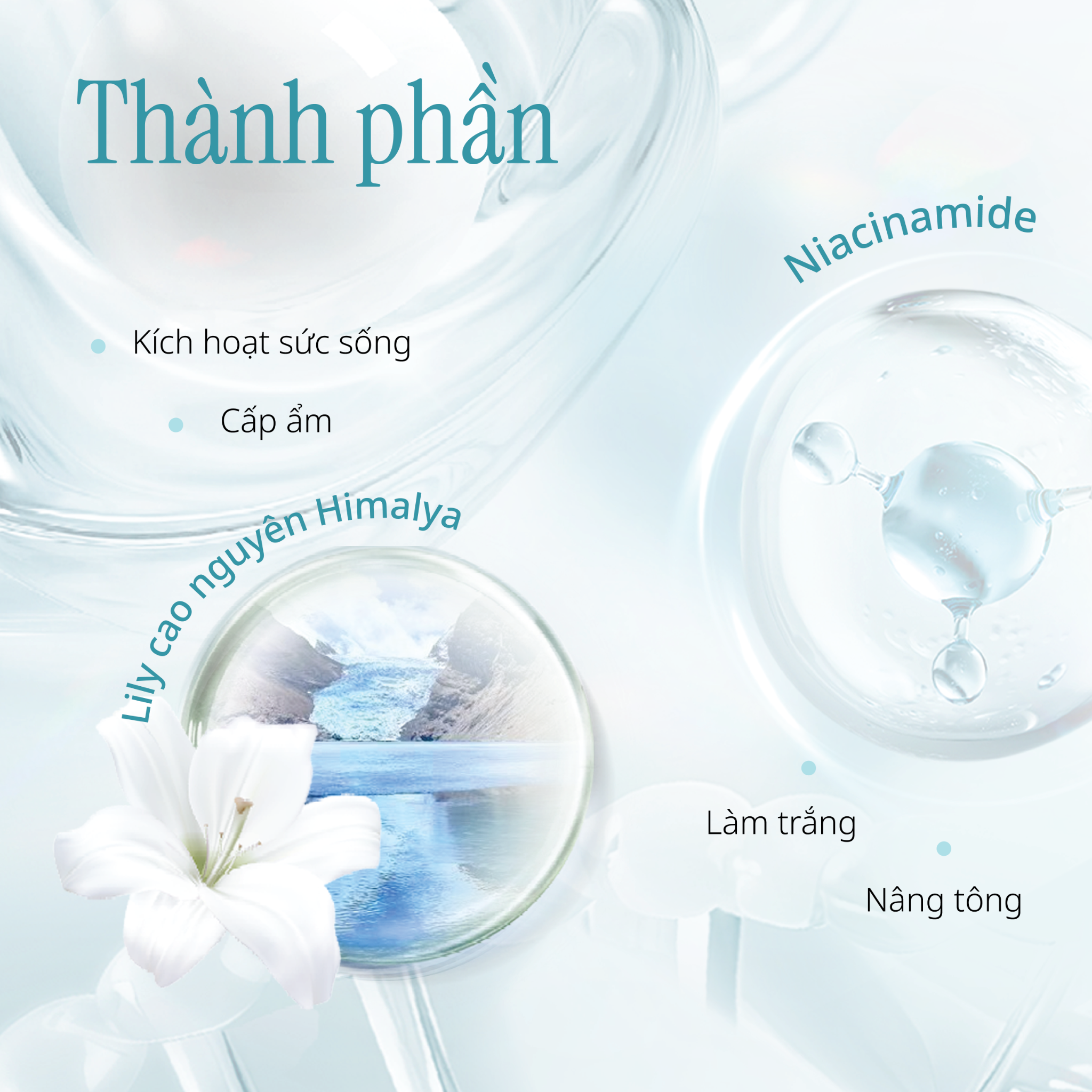 Kem Dưỡng Nâng Tone Hỗ Trợ Dưỡng Sáng Da SPF20/PA++ CHANDO Himalaya 50G