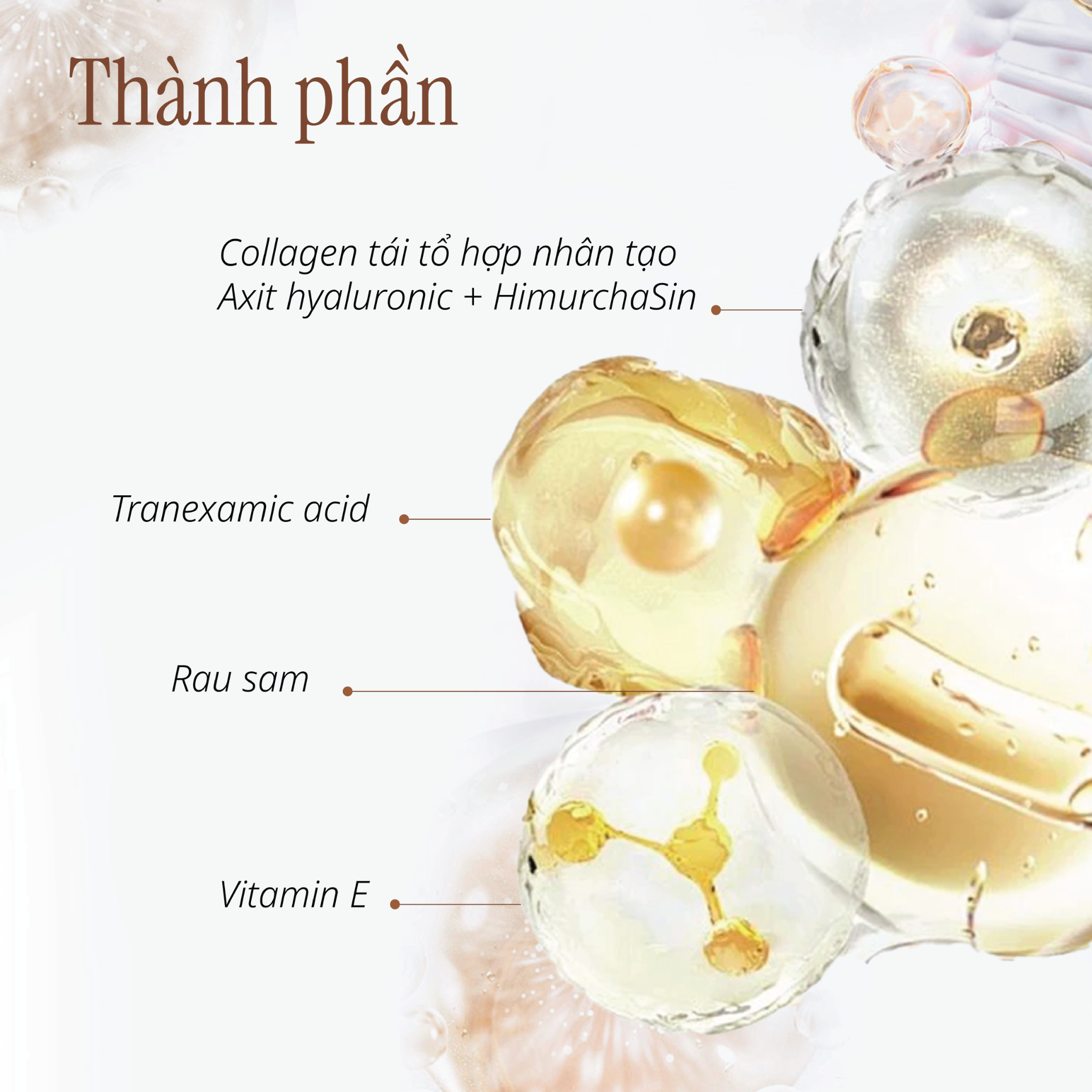 Tinh Chất Hỗ Trợ Tăng Sinh Collagen Và Cải Thiện Da Lão Hóa, Nhạy Cảm 50ml CHANDO Himalaya Chính Hãng