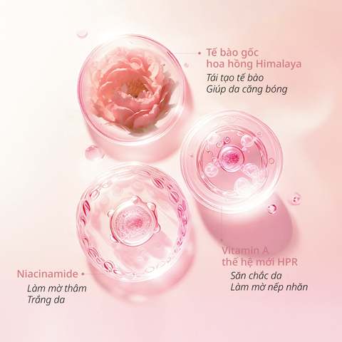 Kem Dưỡng Hỗ Trợ Phục Hồi Lão Hóa Do Trọng Lực CHANDO Himalaya 55g Chứa Tế Bào Gốc Hoa Hồng Hàng Chính Hãng