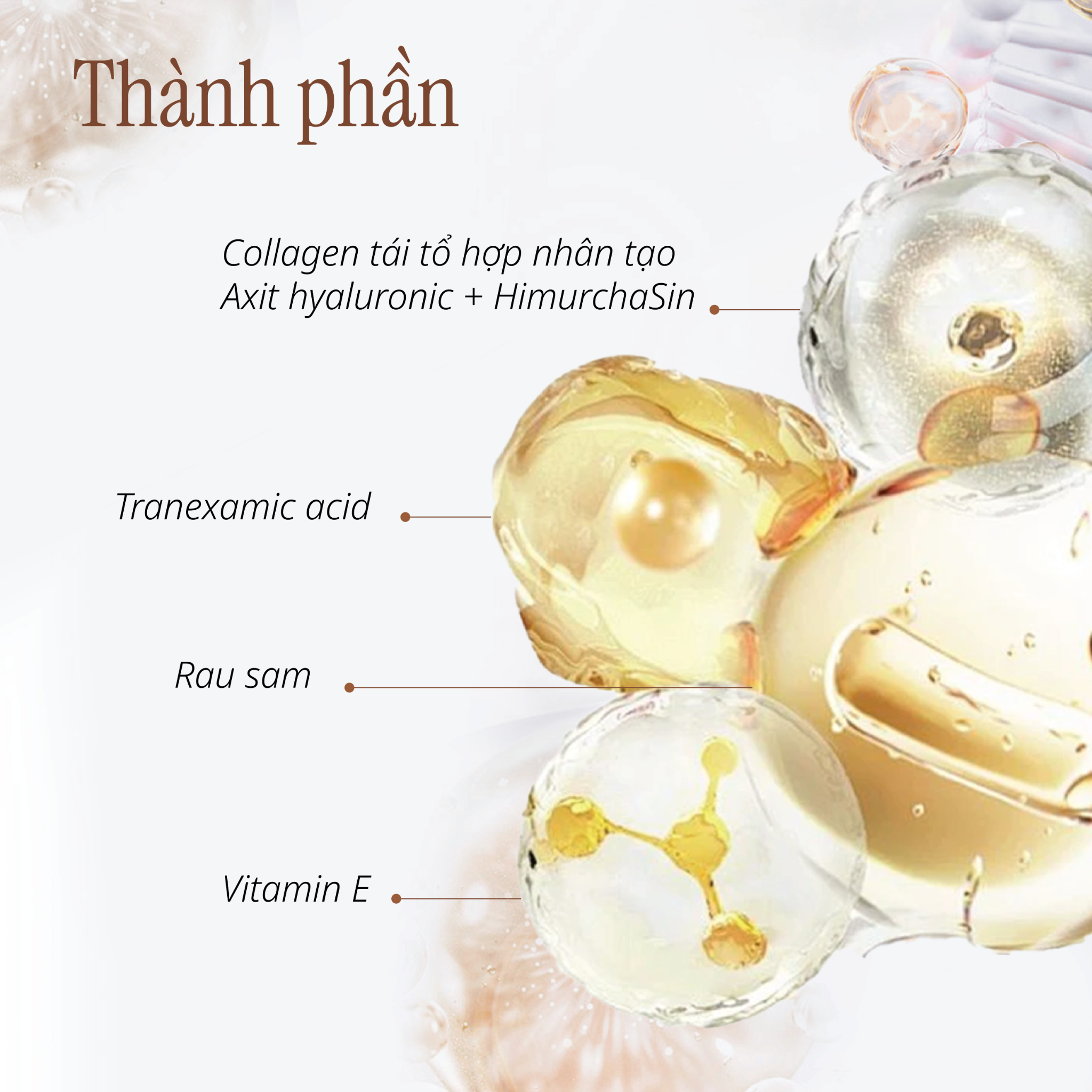 Kem Dưỡng Bổ Sung Collagen và Hỗ Trợ Cải thiện Làn Da Lão Hoá CHANDO Himalaya 55g Hàng Chính Hãng