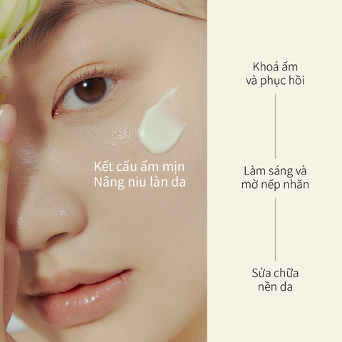 Kem Dưỡng Time Frozen Chăm Sóc Làn Da Thiếu Săn Chắc CHANDO Himalaya 50g