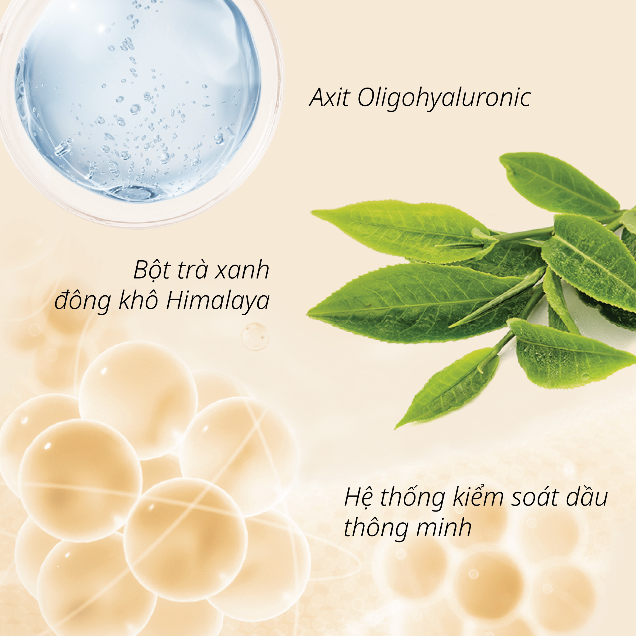 Kem Nền CHANDO Himalaya Mịn Tự Nhiên Lâu Trôi 30mL Hàng Chính Hãng