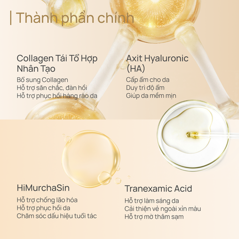 Sữa Dưỡng Tăng Sinh Collagen, Phục Hồi Tổn Thương và Chống Lão Hoá CHANDO Extra Collagen Emulsion 110ml