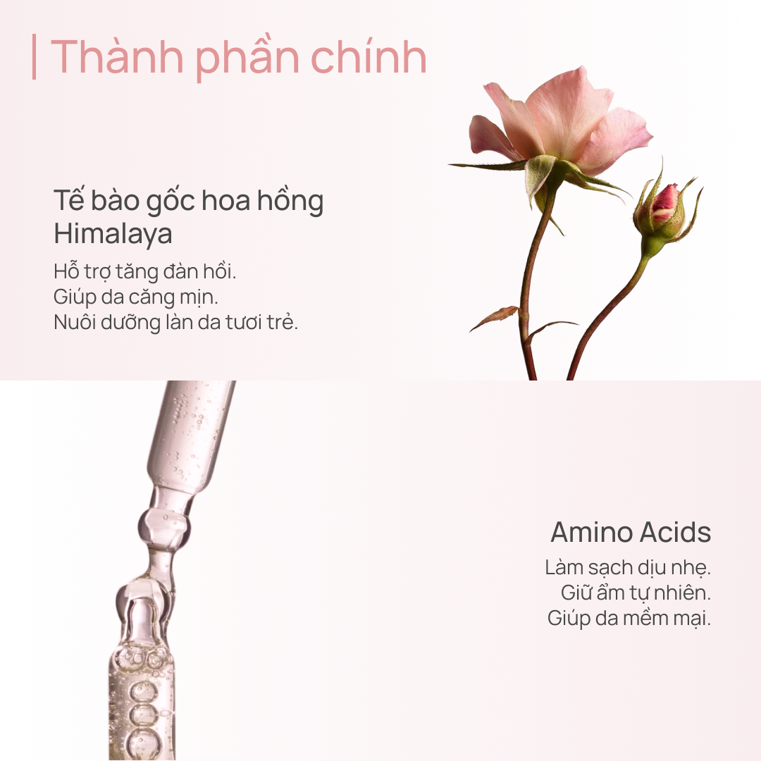 Sữa Rửa Mặt Chống Lão Hóa & Làm Sáng Da CHANDO Pink Diamond Amino Acid 150g
