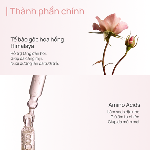 Sữa Rửa Mặt Chống Lão Hóa & Làm Sáng Da CHANDO Pink Diamond Amino Acid 150g