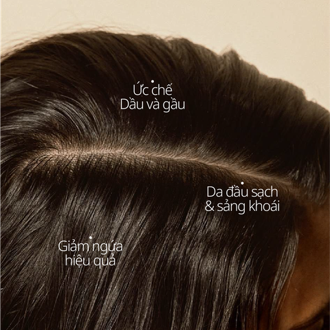 Size Tiện Lợi 200G | Dầu Gội Thảo Mộc Hỗ Trợ Kiềm Dầu, Phồng Tóc, Giảm Gàu Ngứa CHANDO Himalaya Chính Hãng