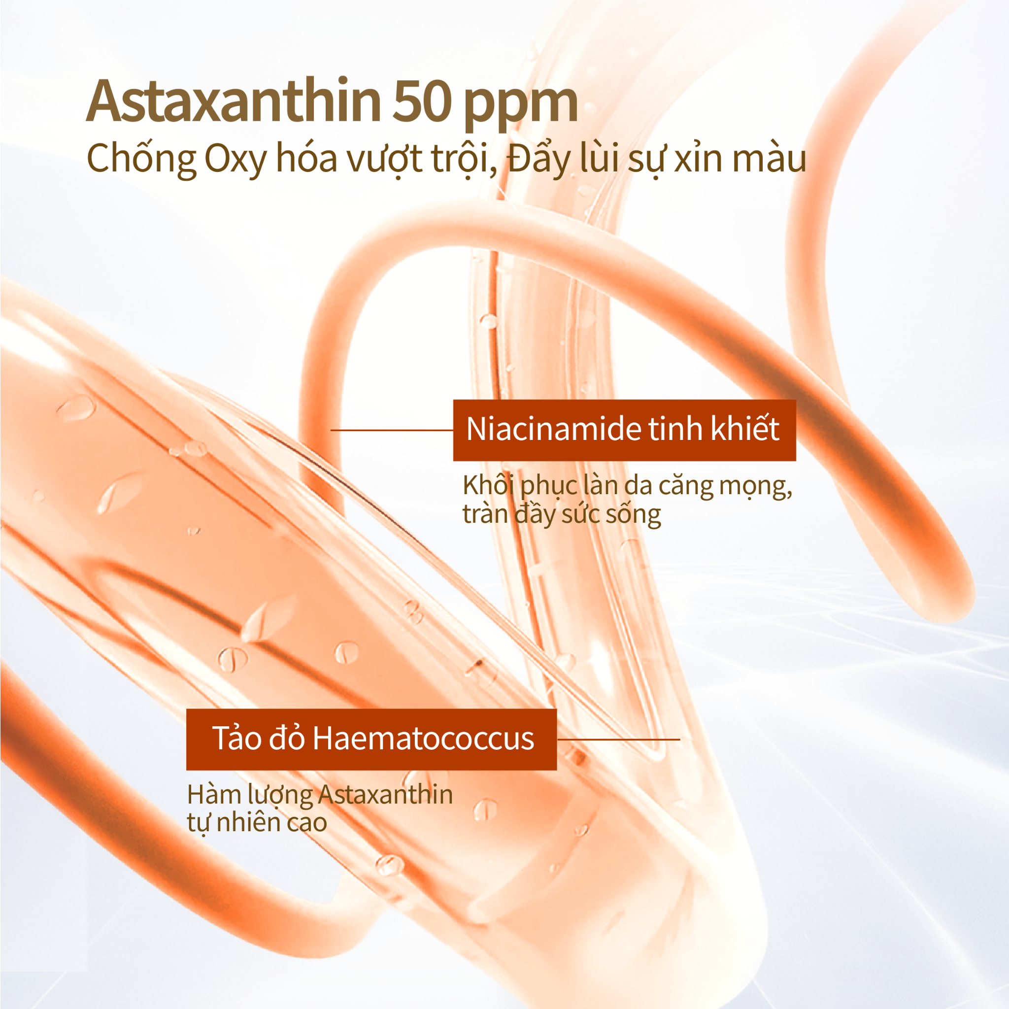 HÀNG TẶNG KHÔNG BÁN | Miếng Mặt Nạ Siêu Tinh Chất 2 Bước 33ml x 1pcs (Kèm ống tinh chất 1.5ml)