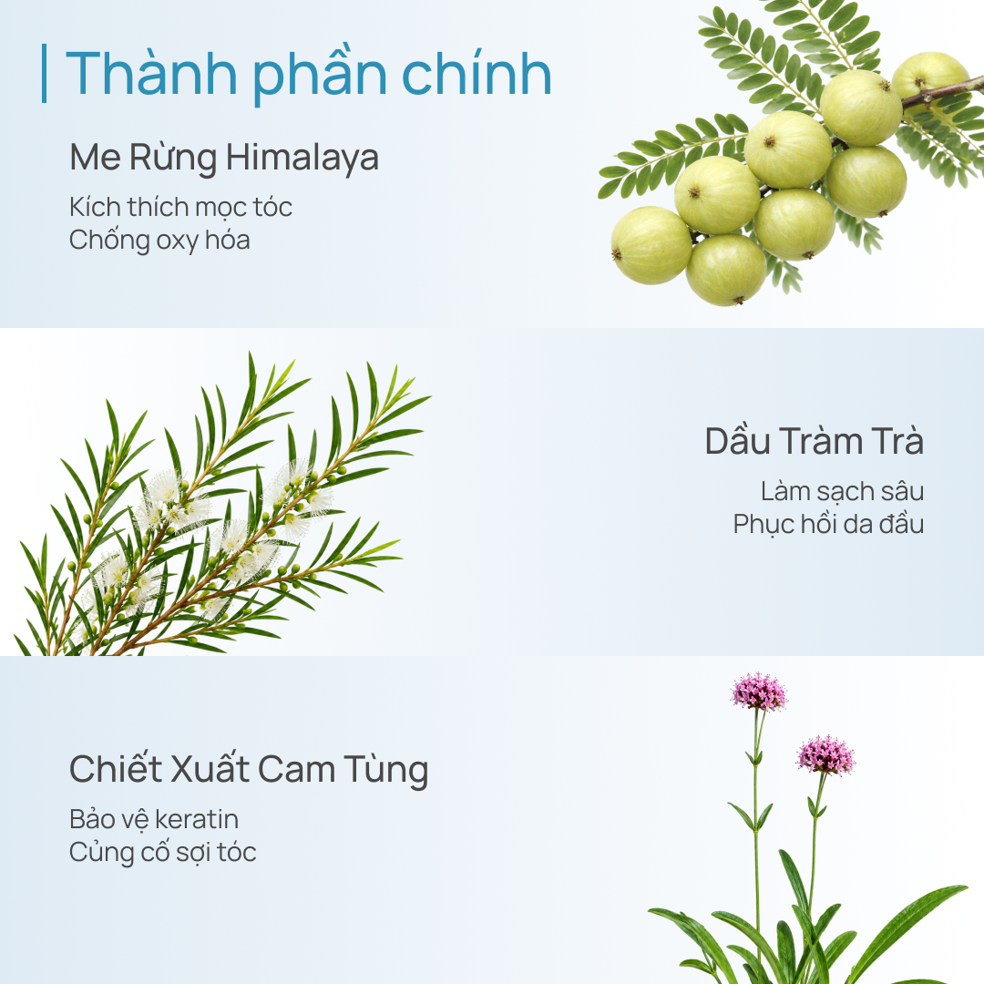 COMBO TẮM - GỘI TÓC SẠCH DA TRẮNG SÁNG CHANDO 200G (NHIỀU PHÂN LOẠI)