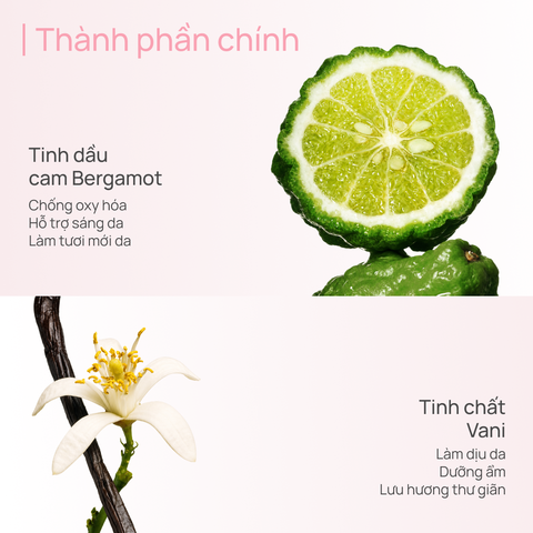 Sữa Dưỡng Thể Hỗ Trợ Dưỡng Trắng 600g CHANDO Himalaya Hàng Chính Hãng