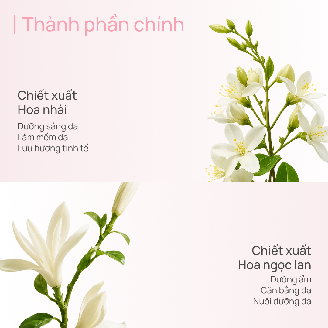 Sữa Dưỡng Thể Hỗ Trợ Dưỡng Trắng 600g CHANDO Himalaya Hàng Chính Hãng