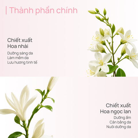Sữa Dưỡng Thể Hỗ Trợ Dưỡng Trắng 600g CHANDO Himalaya Hàng Chính Hãng