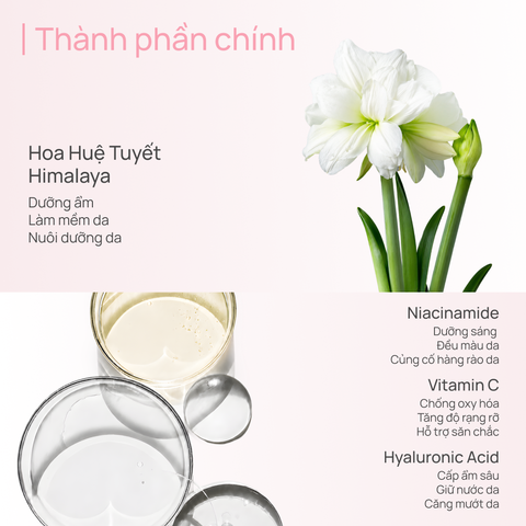 Sữa Dưỡng Thể Hỗ Trợ Dưỡng Trắng 600g CHANDO Himalaya Hàng Chính Hãng