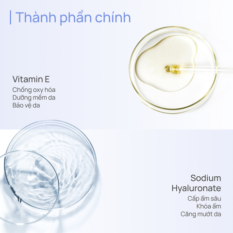 Sữa Dưỡng Thể Hỗ Trợ Dưỡng Ẩm 600g CHANDO Himalaya Hàng Chính Hãng