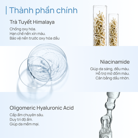 Phấn Nền Mịn Lì Dưỡng Trắng CHANDO Himalaya SPF30 PA++