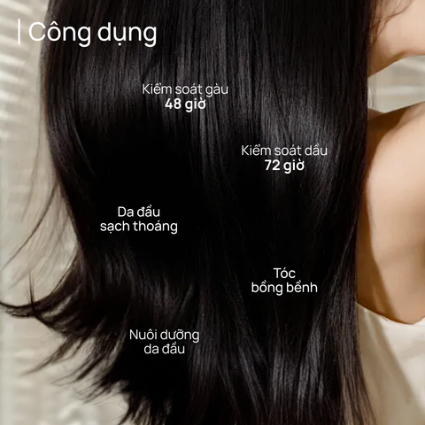 Dầu Gội 200ml Kiểm Soát Dầu/ Ngăn Ngừa Gàu CHANDO Himalaya