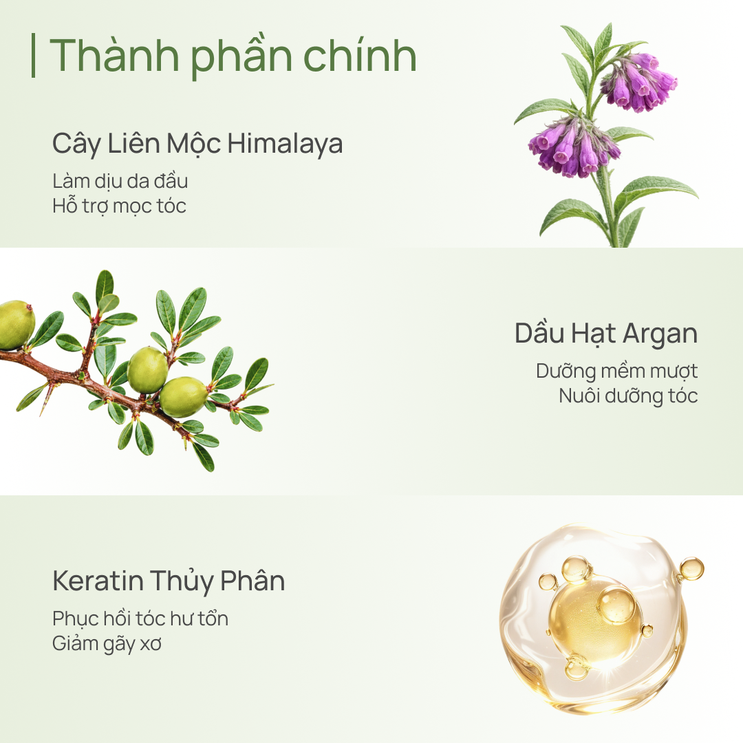 Dầu Xả Cấp Ẩm Làm Phồng Tóc CHANDO Himalaya Giúp Nuôi Dưỡng Tóc Chắc Khoẻ 600g Hàng Chính Hãng