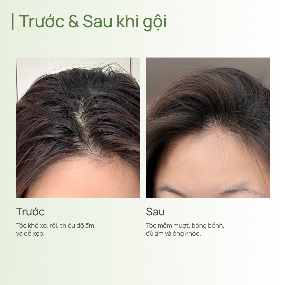 Dầu Xả Cấp Ẩm Làm Phồng Tóc CHANDO Himalaya Giúp Nuôi Dưỡng Tóc Chắc Khoẻ 600g Hàng Chính Hãng