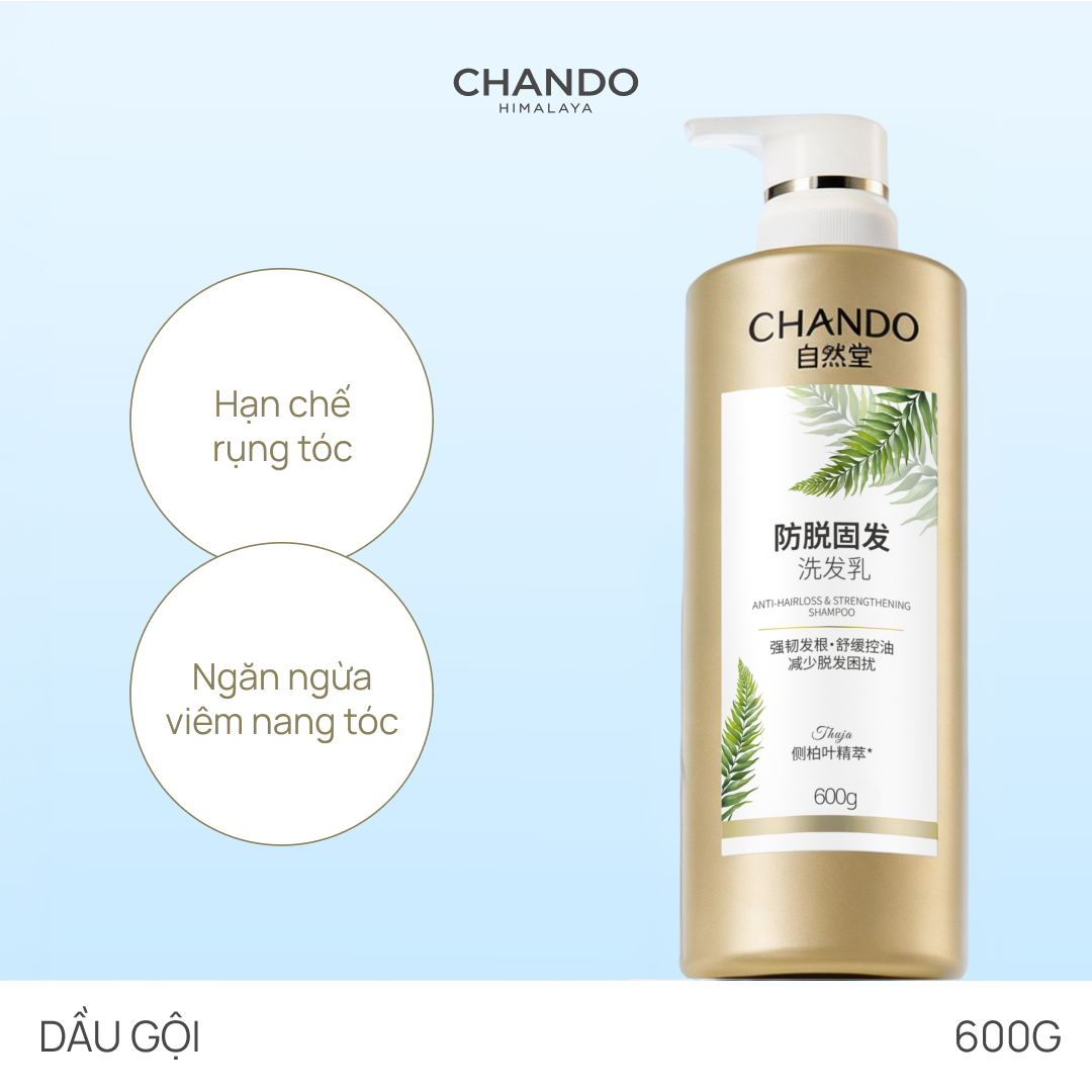 Dầu Gội Ngăn Ngừa Rụng Tóc & Nuôi Dưỡng Tóc Chắc Khỏe CHANDO Anti-Hairloss & Strengthening Shampoo 600ml