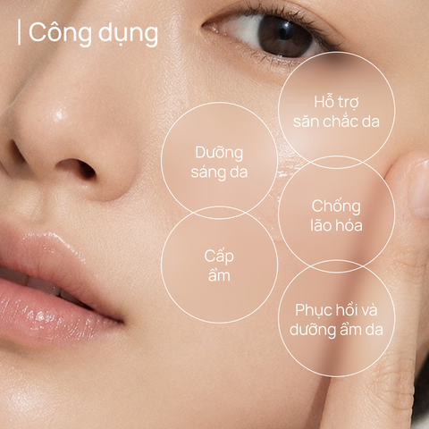 Kem Hỗ Trợ Dưỡng Trắng và Cải Thiện Da Kém Săn Chắc 18g  CHANDO Himalaya Chính Hãng