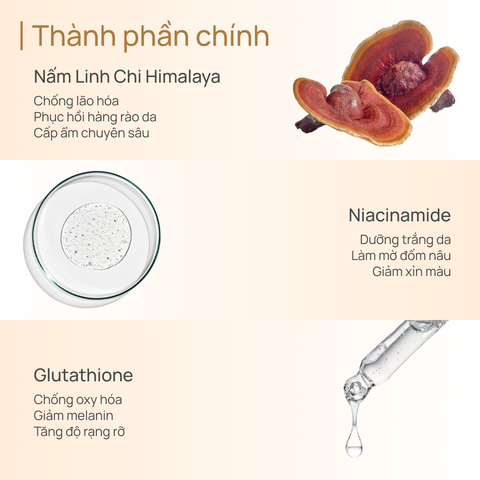 Kem Hỗ Trợ Dưỡng Trắng và Cải Thiện Da Kém Săn Chắc 18g  CHANDO Himalaya Chính Hãng