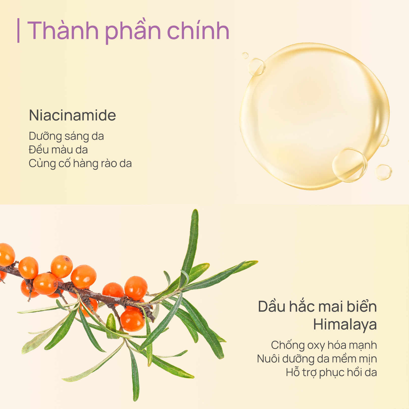 Kem Chống Nắng Dưỡng Sáng & Hỗ Trợ Chống Lão Hóa CHANDO CellCrystal Whitening Sunscreen Emulsion SPF40 PA+++ 40ml