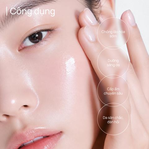 Toner Chống Lão Hoá, Giảm Xỉn Màu, Mờ Quầng Thâm CHANDO Time Frozen Aging Resistance 160ml
