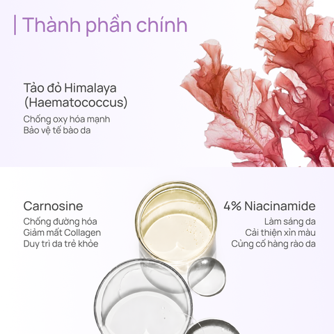 Toner Chống Lão Hoá, Giảm Xỉn Màu, Mờ Quầng Thâm CHANDO Time Frozen Aging Resistance 160ml